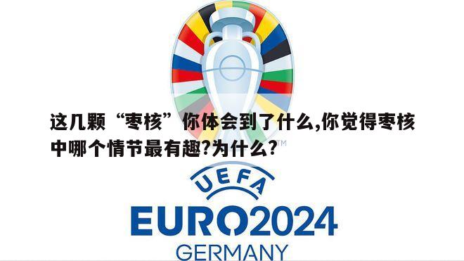 这几颗“枣核”你体会到了什么,你觉得枣核中哪个情节最有趣?为什么?