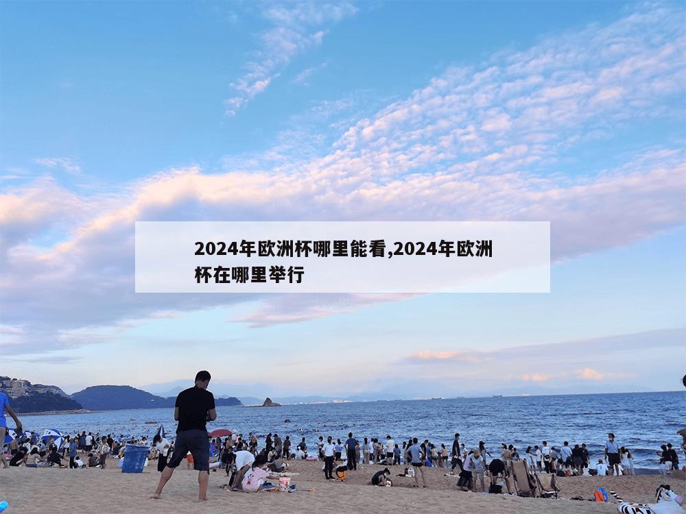 2024年欧洲杯哪里能看,2024年欧洲杯在哪里举行