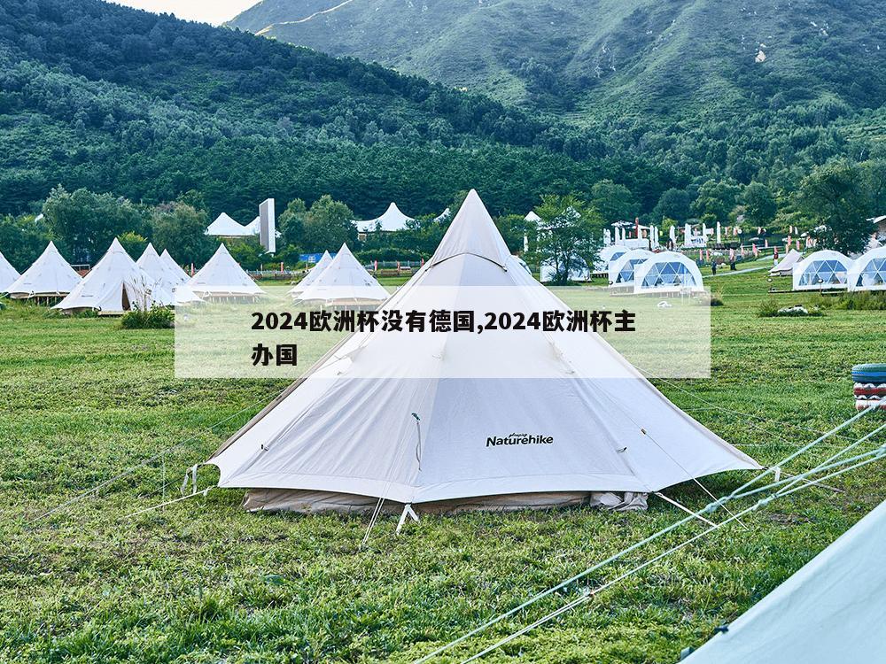 2024欧洲杯没有德国,2024欧洲杯主办国