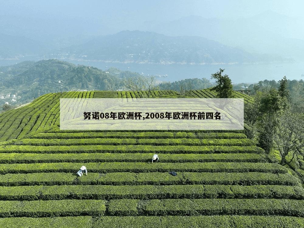 努诺08年欧洲杯,2008年欧洲杯前四名