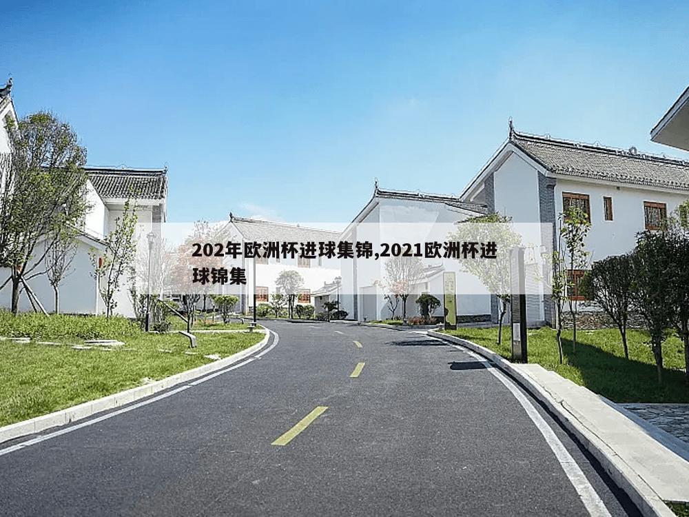 202年欧洲杯进球集锦,2021欧洲杯进球锦集