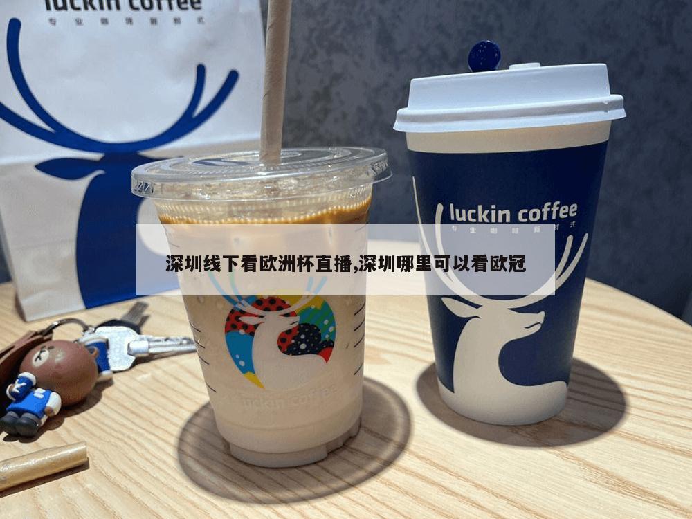 深圳线下看欧洲杯直播,深圳哪里可以看欧冠