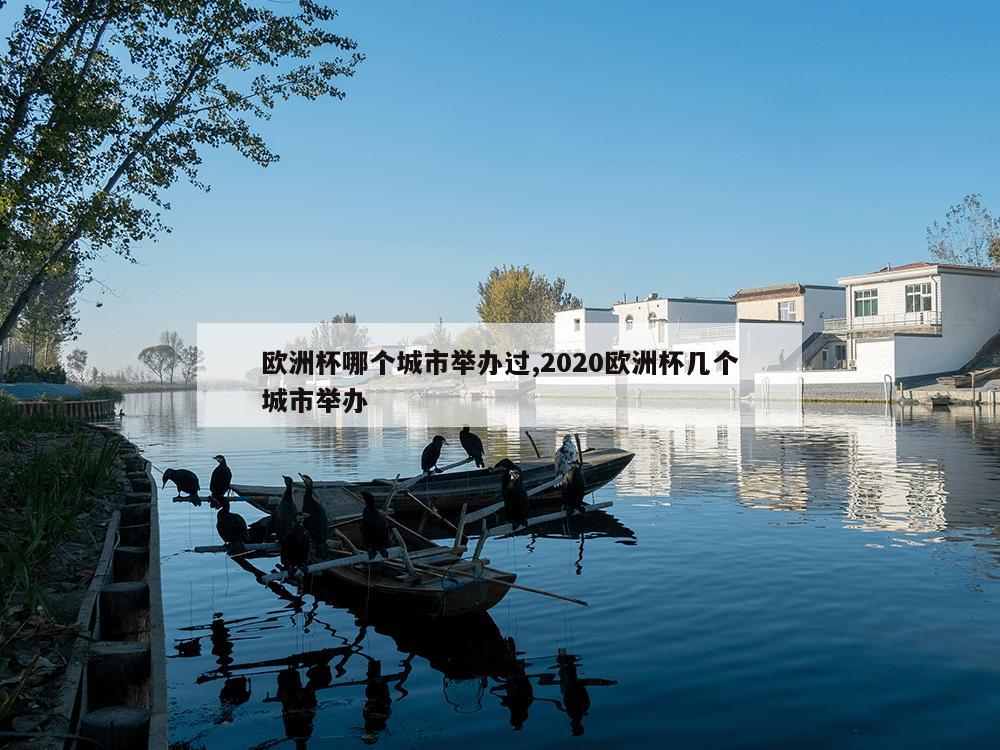 欧洲杯哪个城市举办过,2020欧洲杯几个城市举办