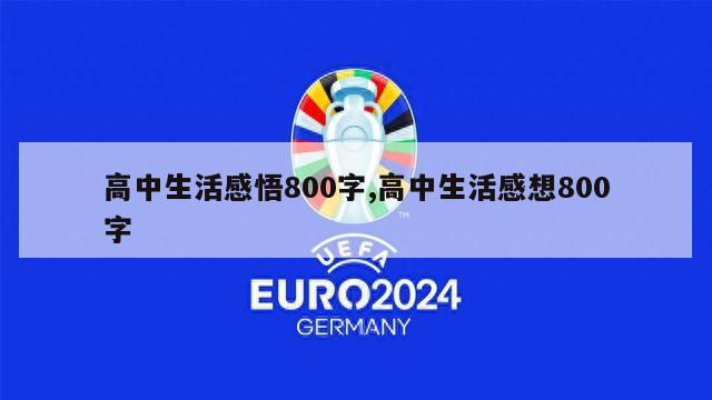 高中生活感悟800字,高中生活感想800字