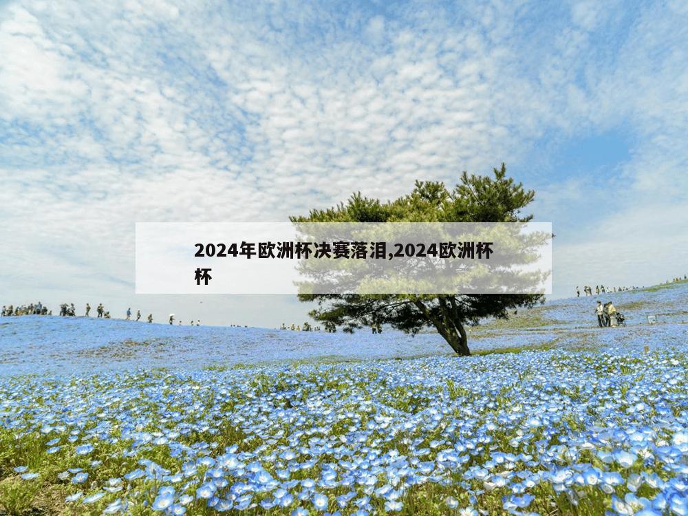 2024年欧洲杯决赛落泪,2024欧洲杯杯