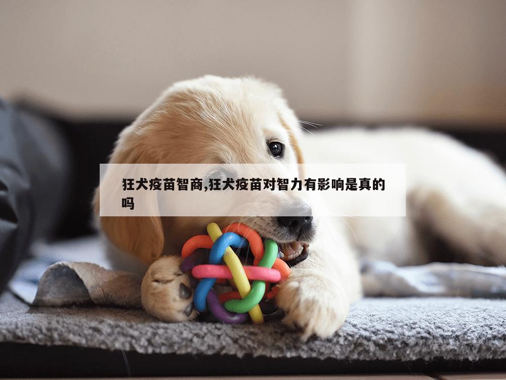 狂犬疫苗智商,狂犬疫苗对智力有影响是真的吗