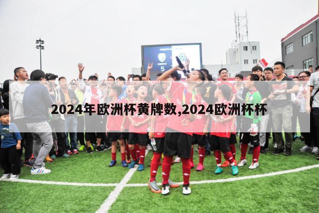 2024年欧洲杯黄牌数,2024欧洲杯杯