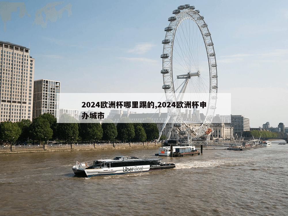 2024欧洲杯哪里踢的,2024欧洲杯申办城市